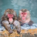 温浴効果がグンと上がる入浴法3選
